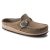 Gray Taupe
