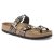 Gator Gleam Black