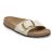 Canvas Eggshell