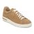 Dotted New Beige
