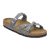 Basalt Gray