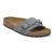 Basalt Gray